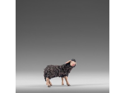 Schaf zurückschauend mit Wolle schwarz