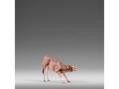 Kalb