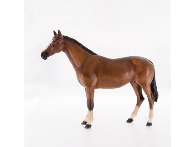 Pferd