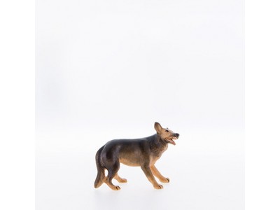 Schäferhund