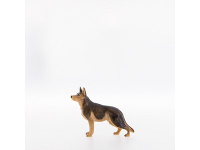 Schäferhund