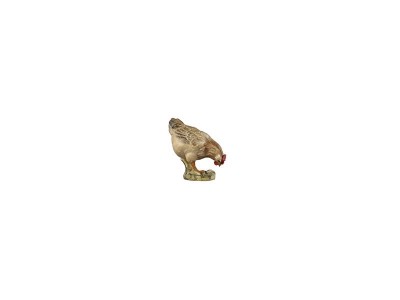 Henne pickend color, RA