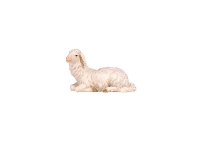 Schaf liegend links schauend color, RA