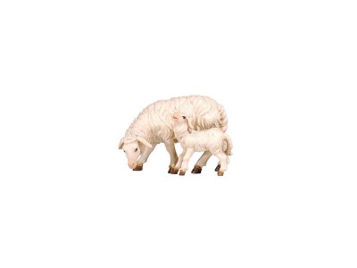 Schaf äsend mit Lamm color, RA