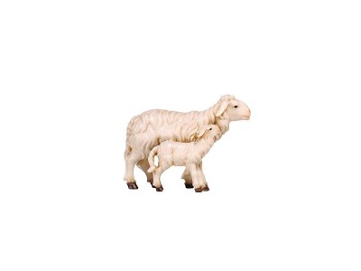 Schaf und Lamm stehend color, RA