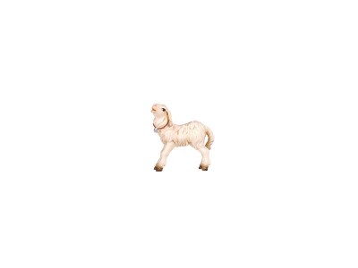 Lamm stehend color, RA
