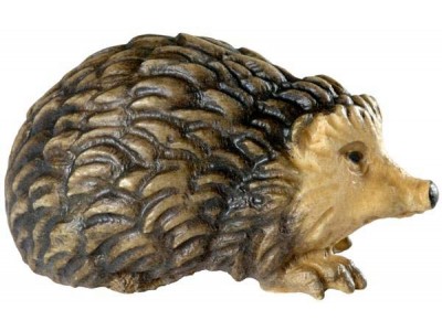 Igel lasiert