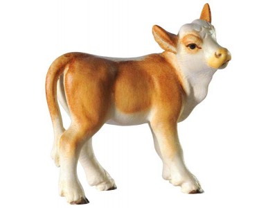 Kalb lasiert