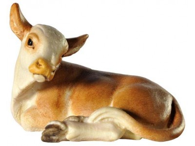 Kalb liegend lasiert