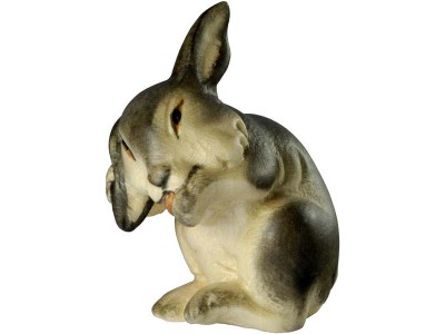 Hase lasiert