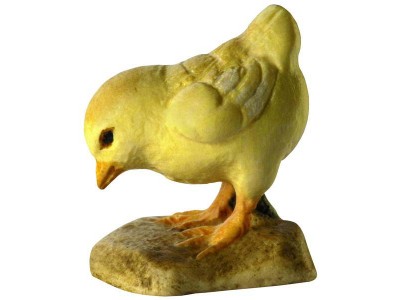 Hühnerküken pickend, lasiert