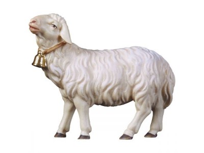 Hi. Schaf gerade ausschauend mit Glocke color
